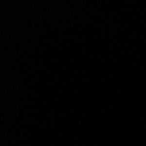 Meet your Posher, Charles